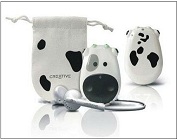 mp3  2GB